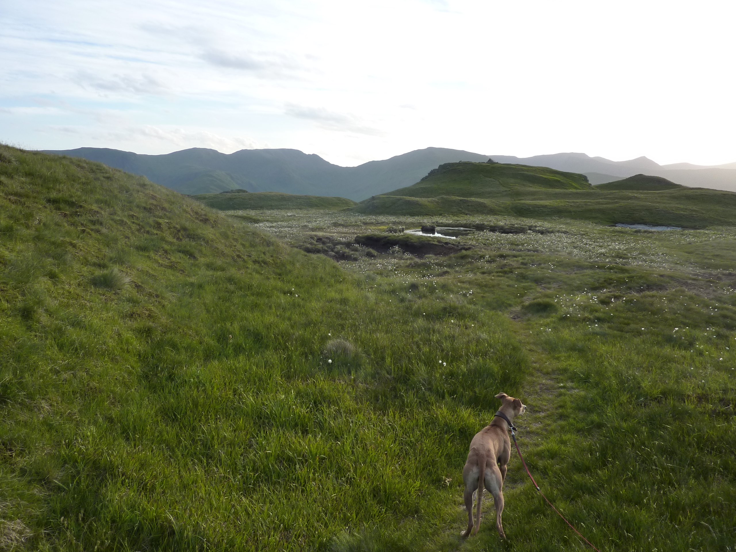 Brock Crags